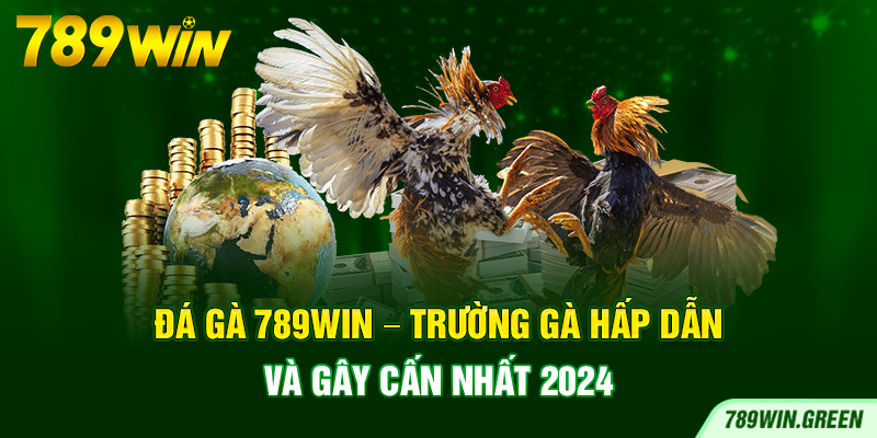 Đá Gà 789win – Trường Gà Hấp Dẫn Và Gây Cấn Nhất 2024